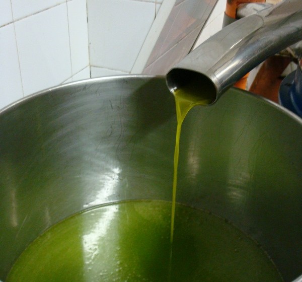 Antico Frantoio Tavian