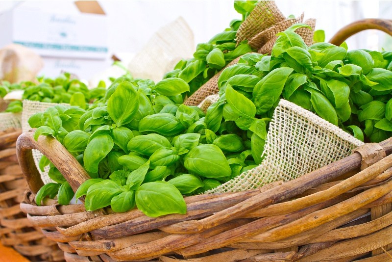 Il Pesto di Prà