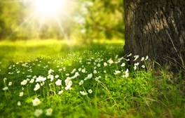 Immergiti nella Liguria per il pic-nic di Pasquetta