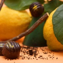 Articioc Cioccolateria