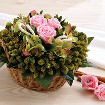 Il Fiordaliso 