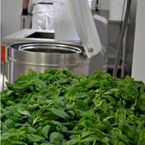 Il Pesto Genovese - Rossi