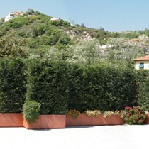 L'Arredoverde 