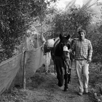 Azienda Agricola Raibaudo
