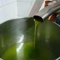 Antico Frantoio Tavian
