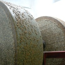 Antico Frantoio Tavian