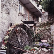 Antico Frantoio Tavian