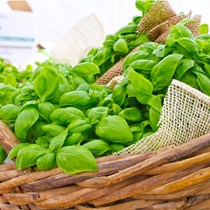 Il Pesto di Prà