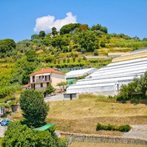 Il Pesto di Prà