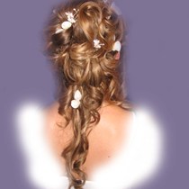 Crazy Hair