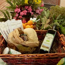 Agriturismo “Il glicine e la lucerna”