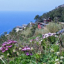 Resort  La Francesca   GEA srl