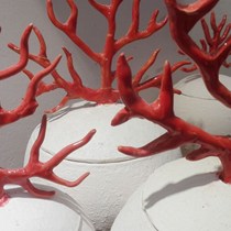 Ceramiche il Tornesino di Ilaria Traverso