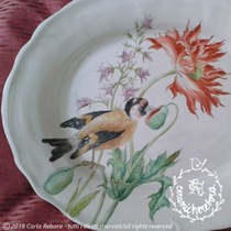 Ceramicherebora di Carla Rebora