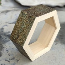 Risso Cornici