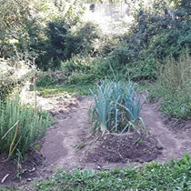 Azienda Agricola Artemisia - Montoggio