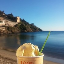 100%Naturale, Gelateria Artigiana