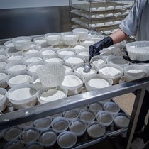 Boggetti Paolo - Costruzioni Meccaniche Alimentari