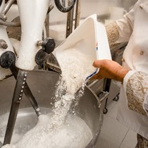Panificio Patrone snc di Travaglini Mario