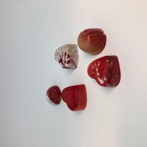 Pasticceria Fiorini