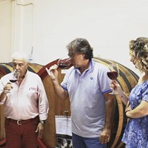 Società Semplice Agricola Gajaudo