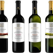 Società Semplice Agricola Gajaudo