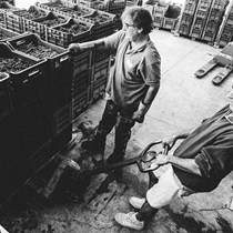 Società Semplice Agricola Gajaudo