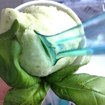 Gelateria I Giardini di Marzo di Venturino e Ferrando